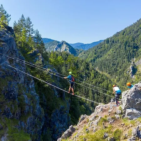 Rozika Slovenj Gradec