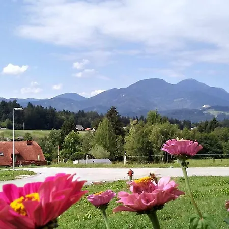 Rozika Σπίτι διακοπών Slovenj Gradec