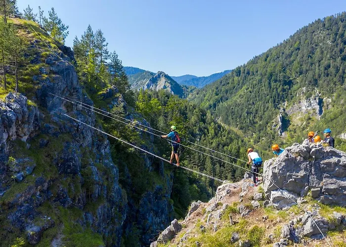 Rozika Slovenj Gradec