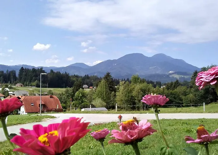 Rozika Casa vacanze Slovenj Gradec