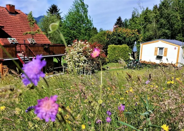 Rozika Casa vacanze Slovenj Gradec